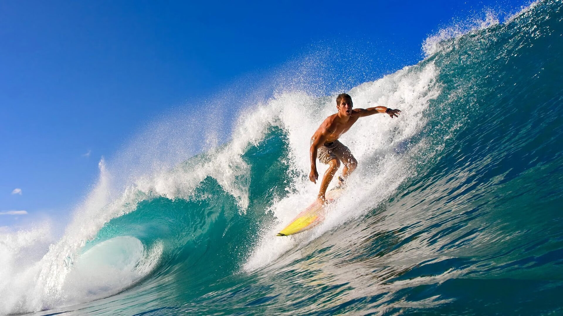 德甲争冠战之夜，当文班亚马的防守艺术照亮绿茵场